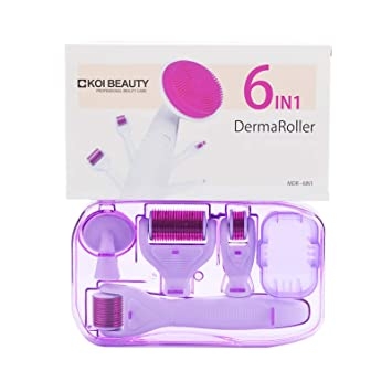 Derma Roller 6 σε 1-0